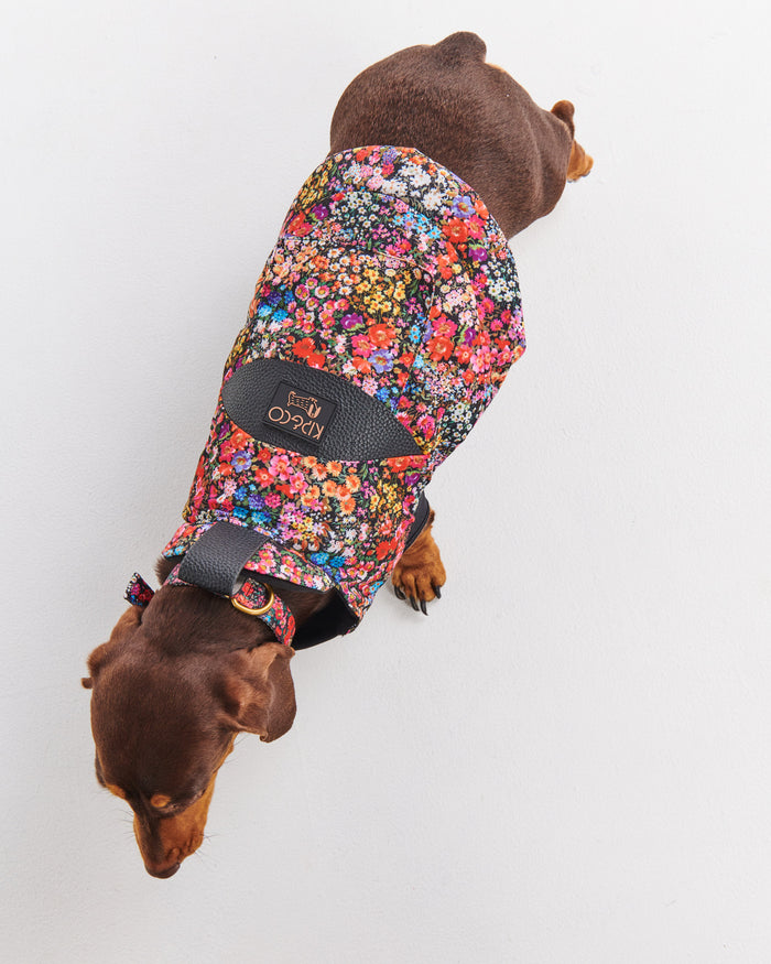 Forever Floral Black Dog Jacket