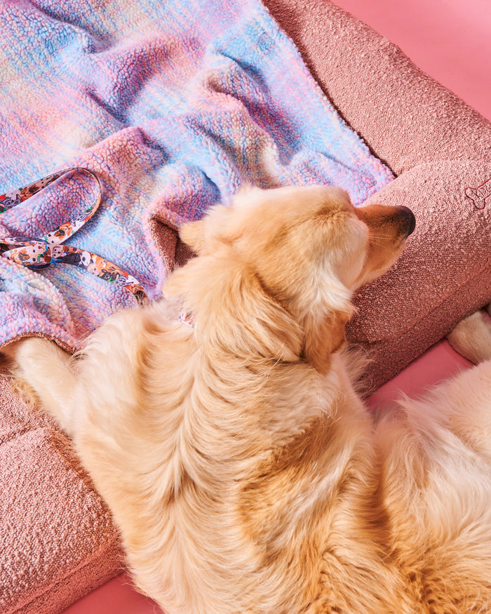 Polly Boucle Sherpa Dog Blanket