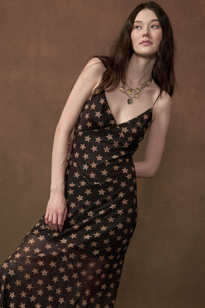 Star Crossed Printed Mesh Maxi Slip Dress - ShopPromesa