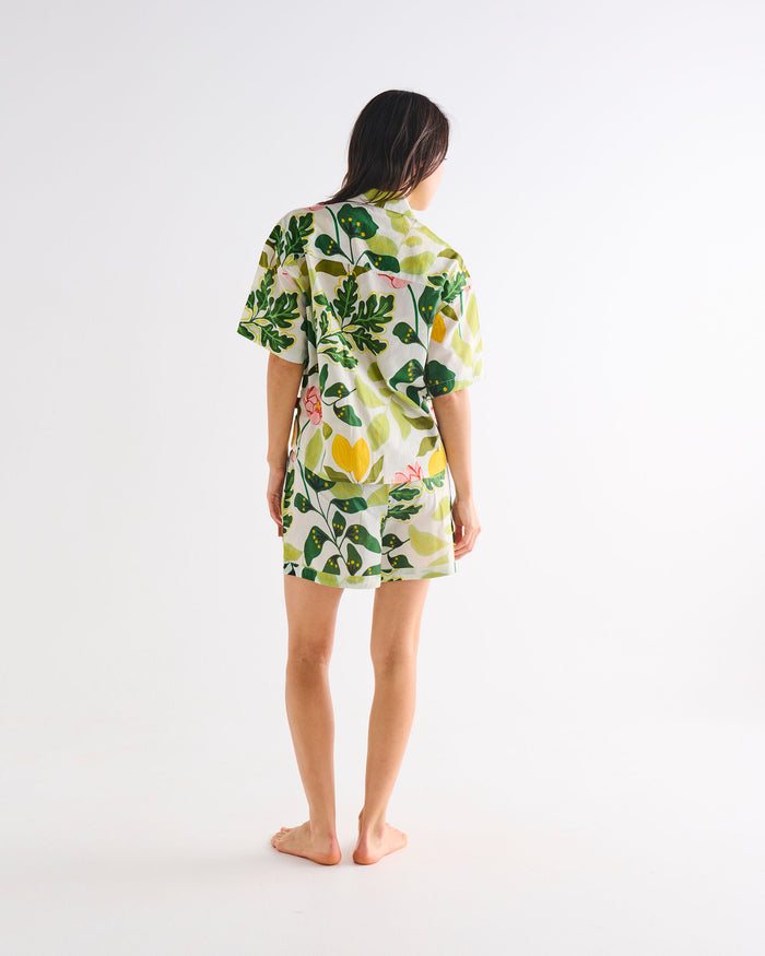 Wander Adult Organic Cotton Short Sleeve Shirt & Short Pyjama Set