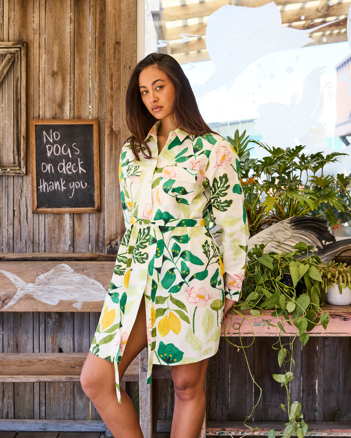 Wander Adult Sicilian Shirt Dress